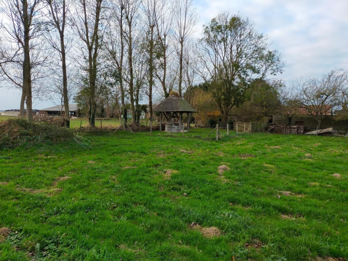 Maison Individuelle Neuve Plein Pied Avec Terrasse Et Jardin Clos 10Minutes A Pied De La Plage Quiberville Dış mekan fotoğraf